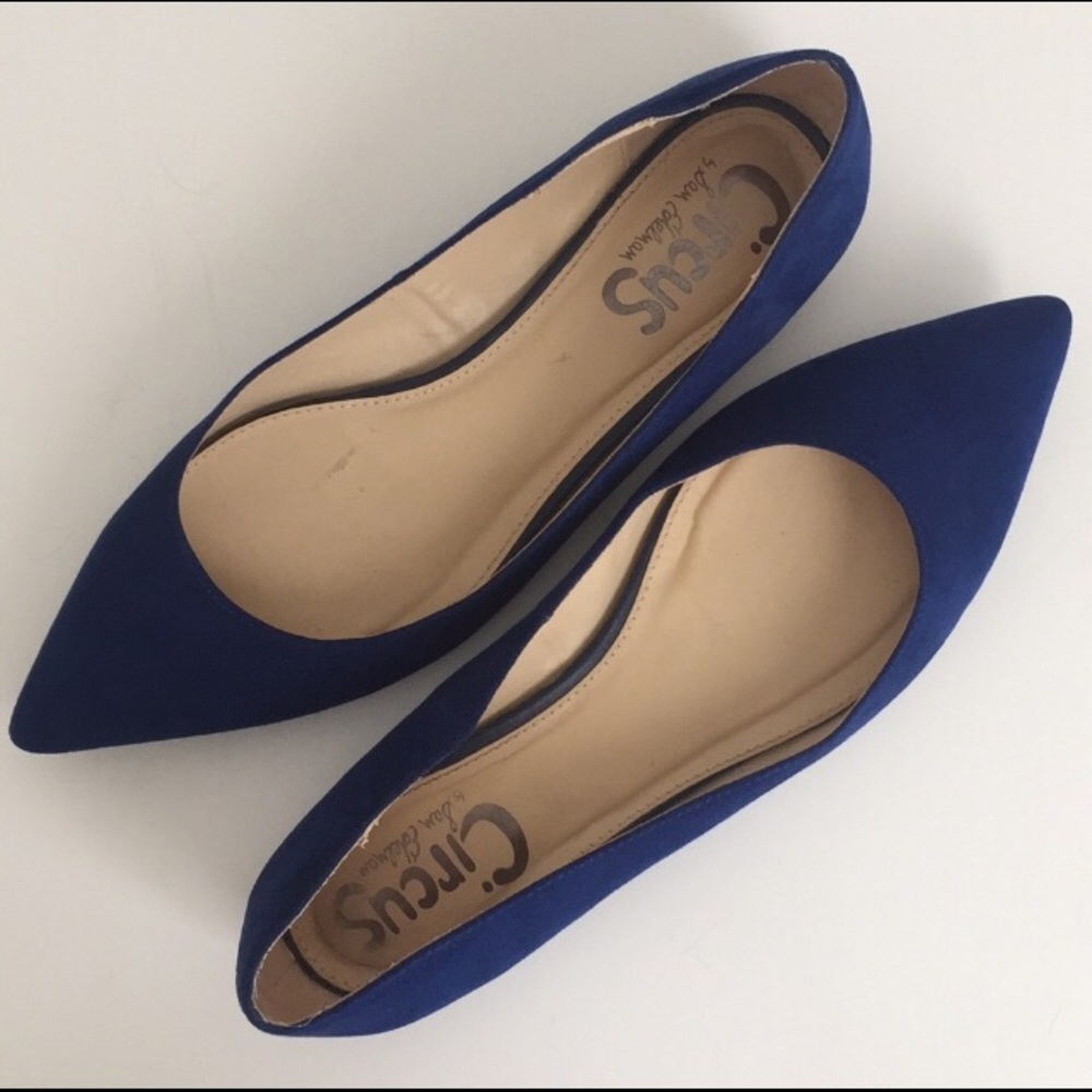 Blue Suede Pointed Toe Flats